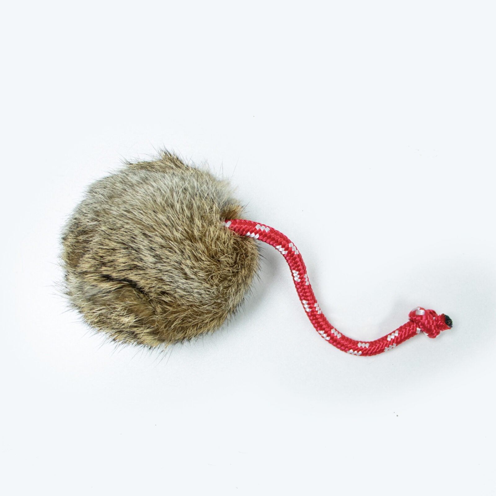 Hasenmarkerball von Dog & Field