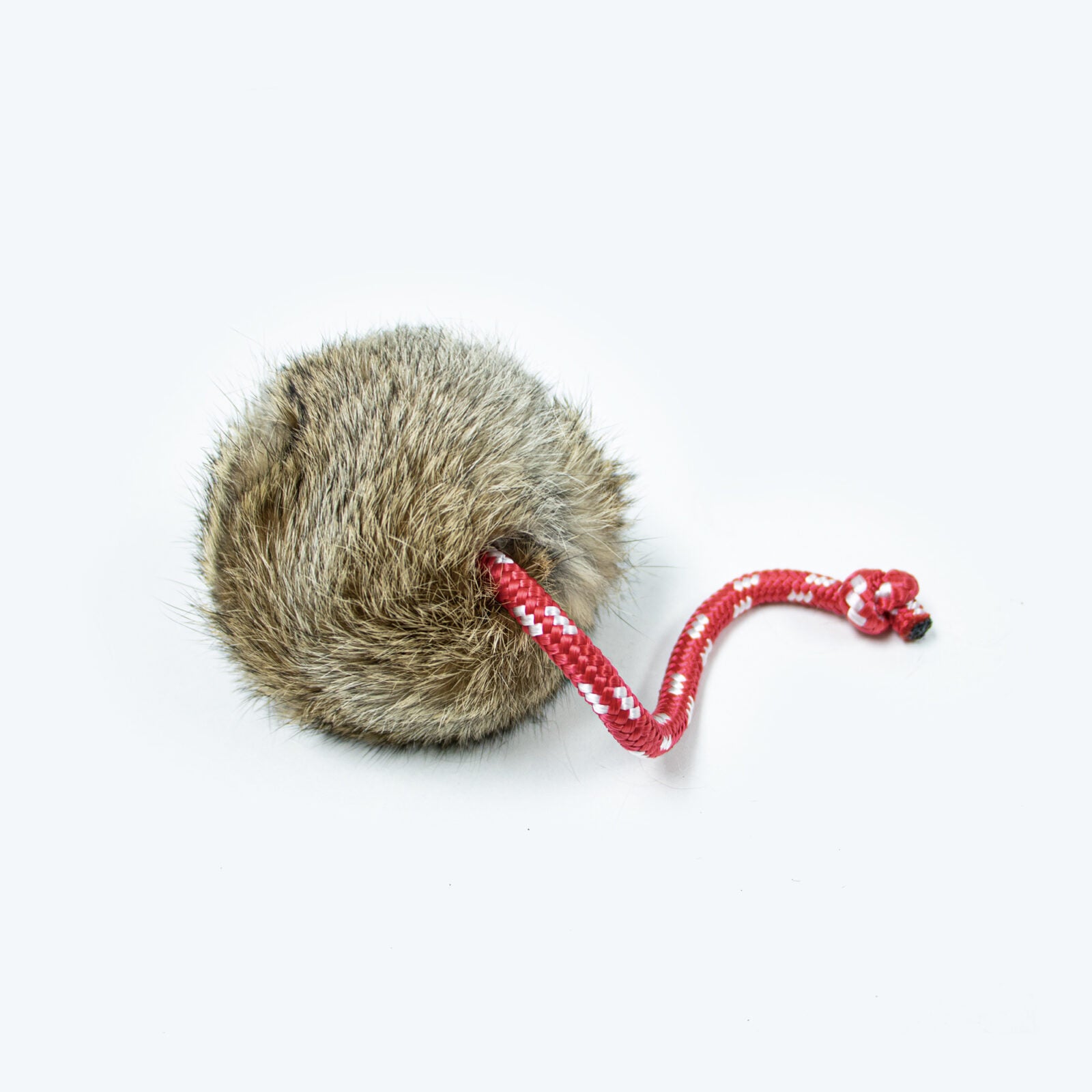 Hasenmarkerball von Dog & Field
