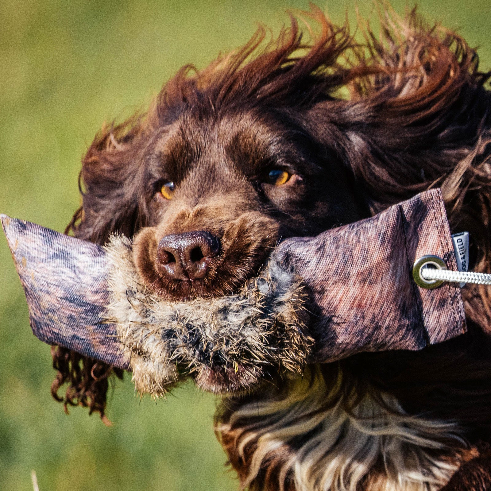 3-teiliges Kaninchenfelldummy - Original Clone®️ Rabbit Dummy von Dog & Field