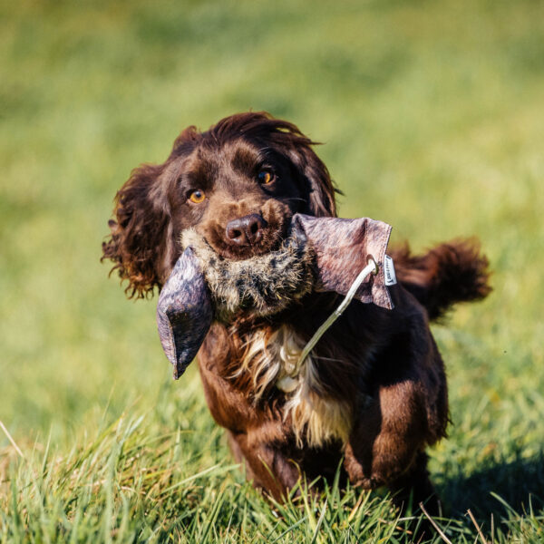 3-teiliges Kaninchenfelldummy - Original Clone®️ Rabbit Dummy von Dog & Field