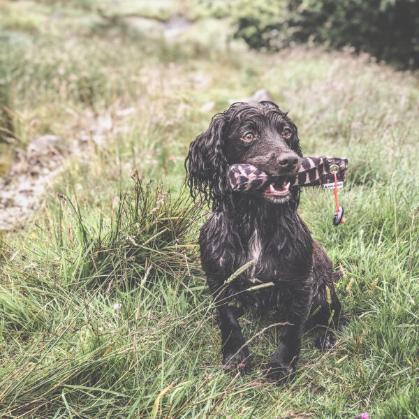 The Original Clone®️ 100 Gramm SCHNEPFE Dummy