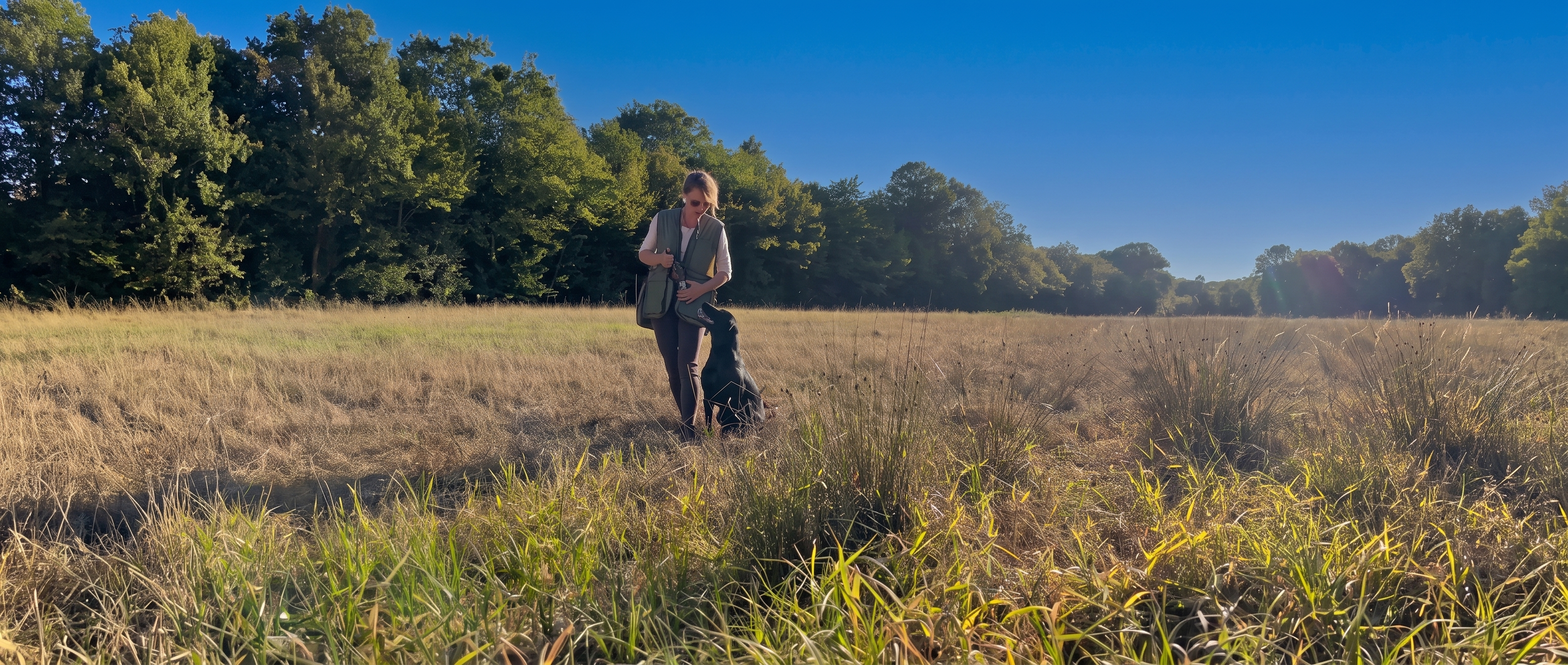 Frau mit Retriever in Dummyweste im Feld, blauer Himmel