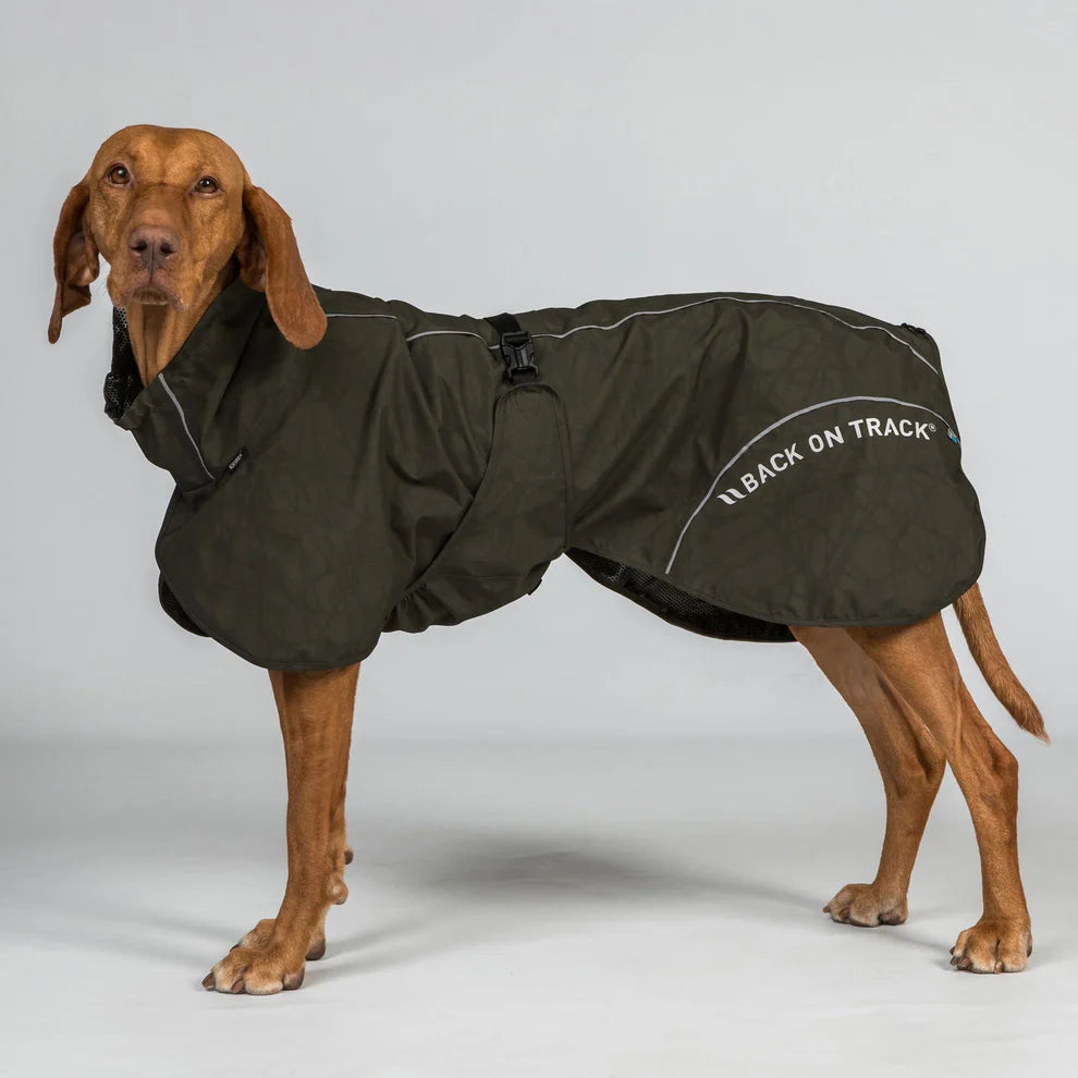 BAY Hunde-Regenmantel – für Hunde mit hoch getragener Rute
