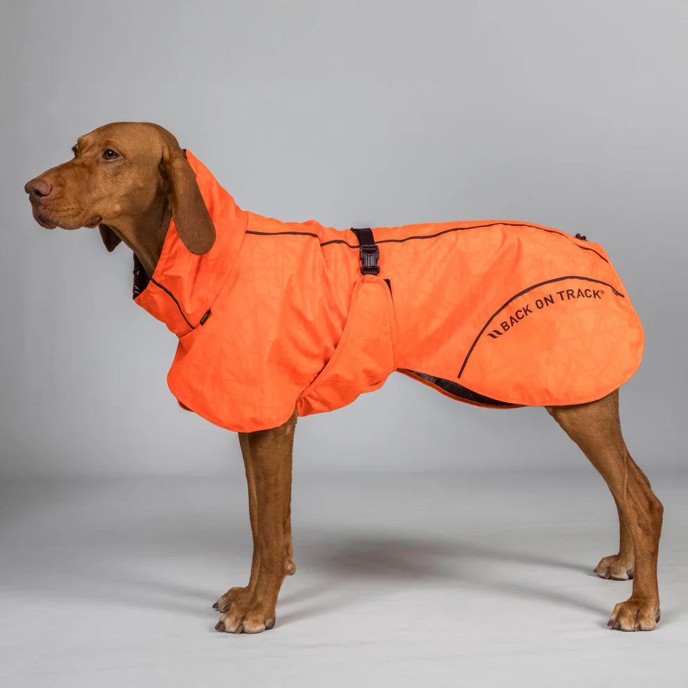 BAY Hunde-Regenmantel – für Hunde mit hoch getragener Rute