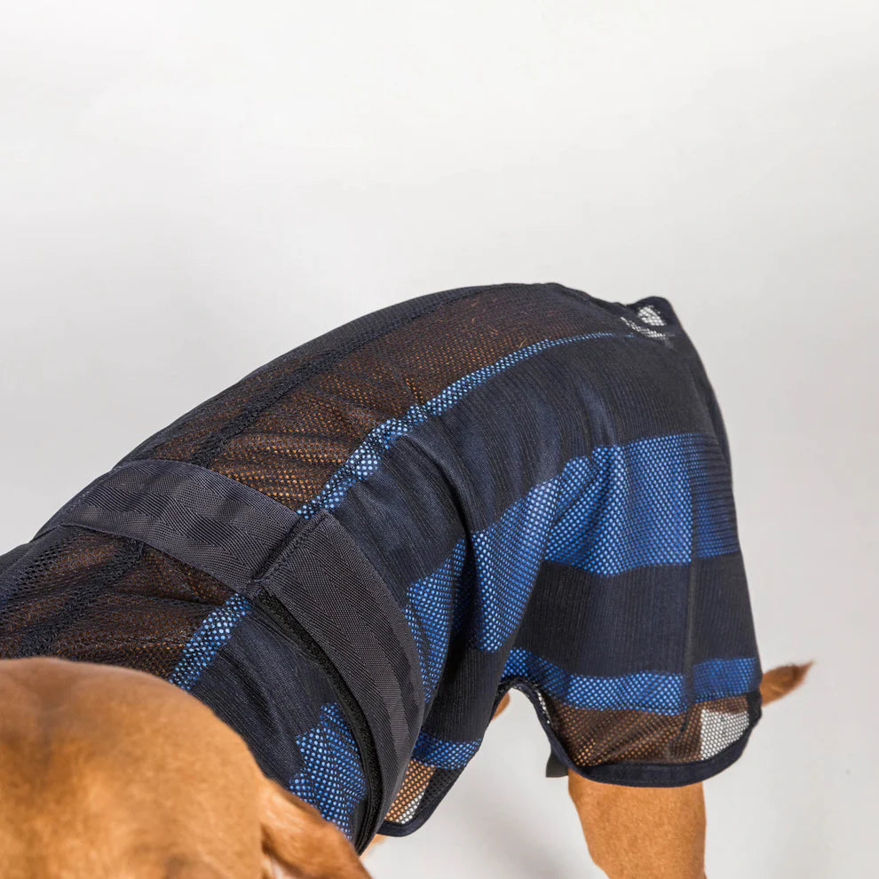 Cool on Track®️ Hundemantel mit Kühl-Effekt 2.0