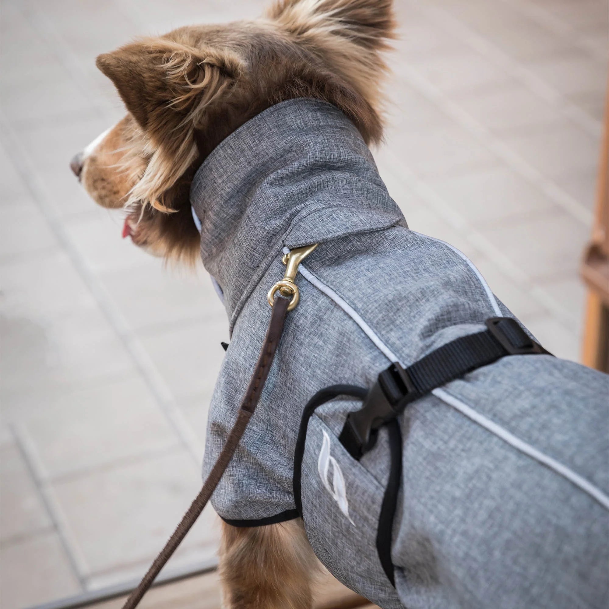 "Nella" Allround Hundemantel von Back on Track in grau 25-90 cm Rückenlänge
