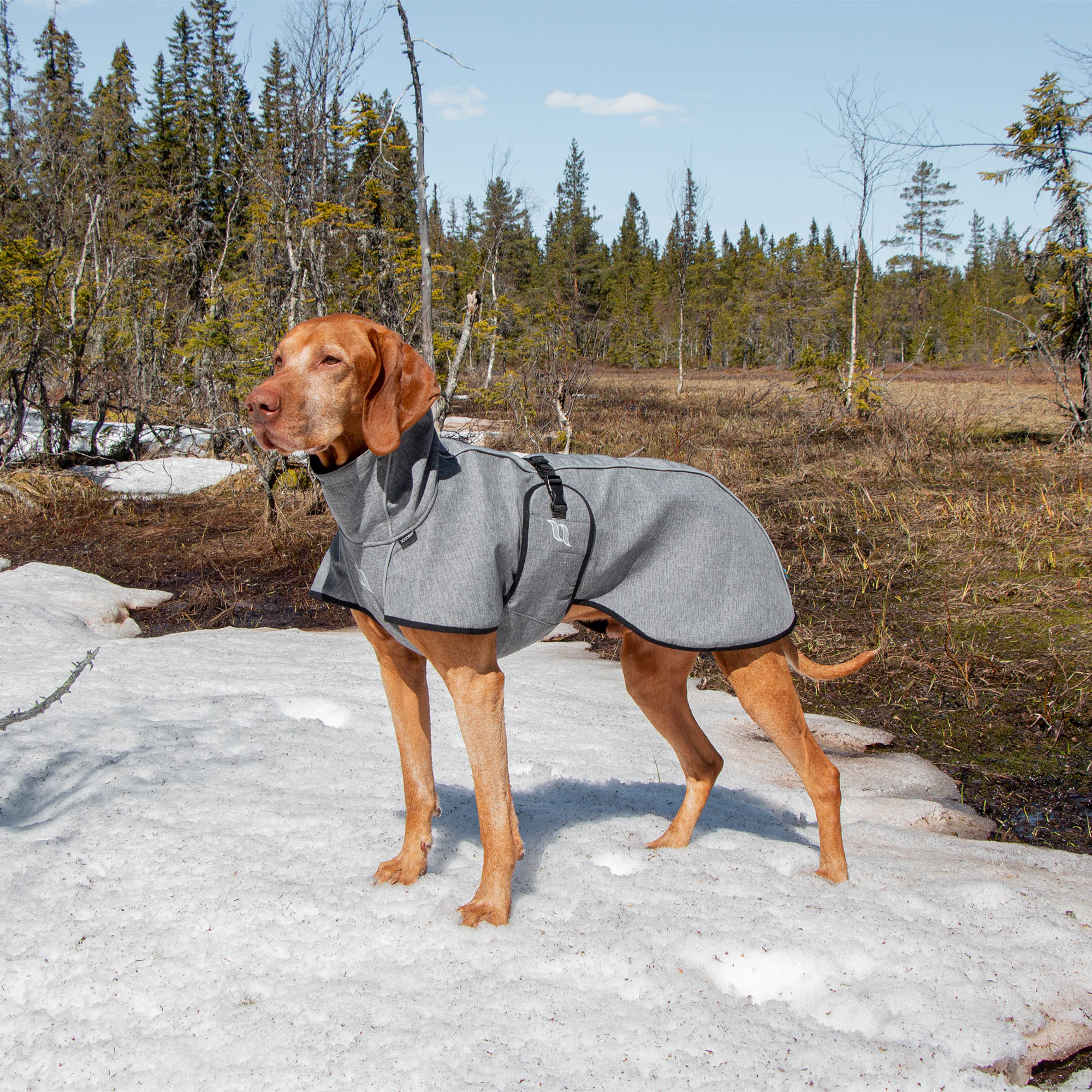 "Nella" Allround Hundemantel von Back on Track in grau 25-90 cm Rückenlänge