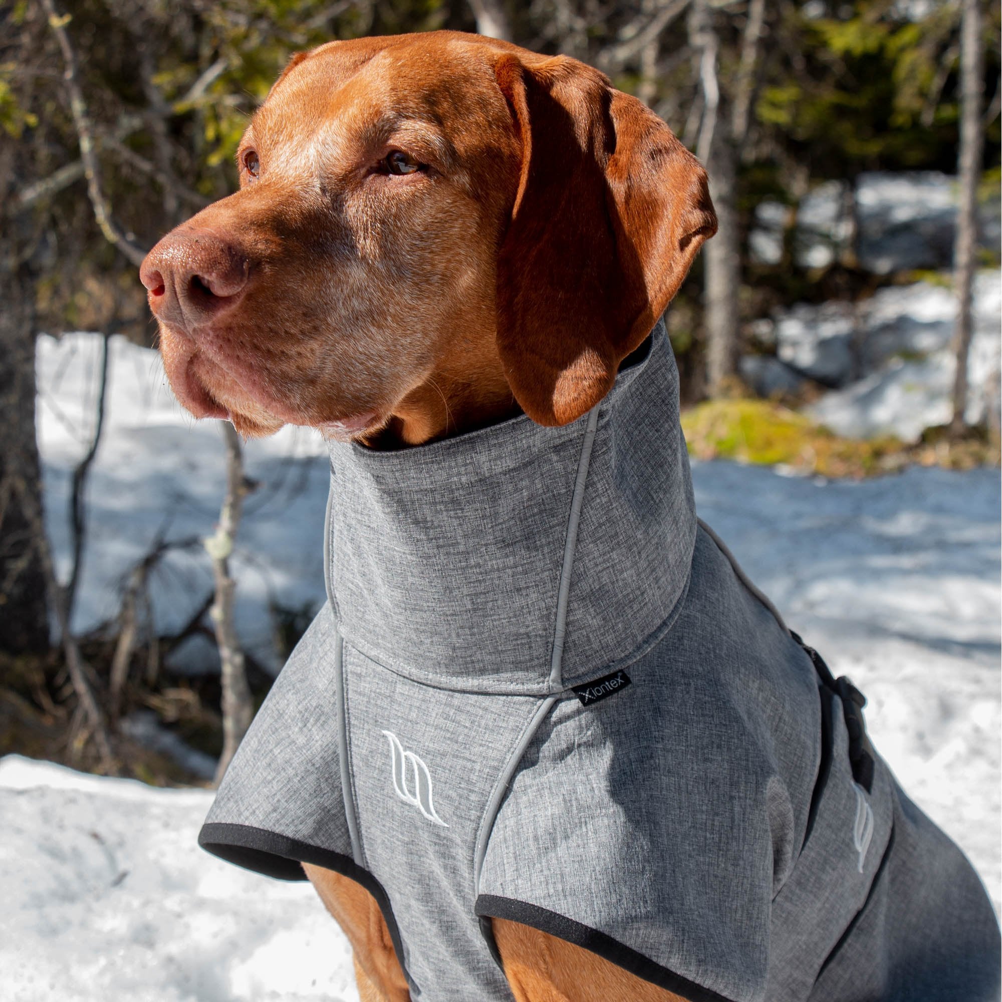 "Nella" Allround Hundemantel von Back on Track in grau 25-90 cm Rückenlänge
