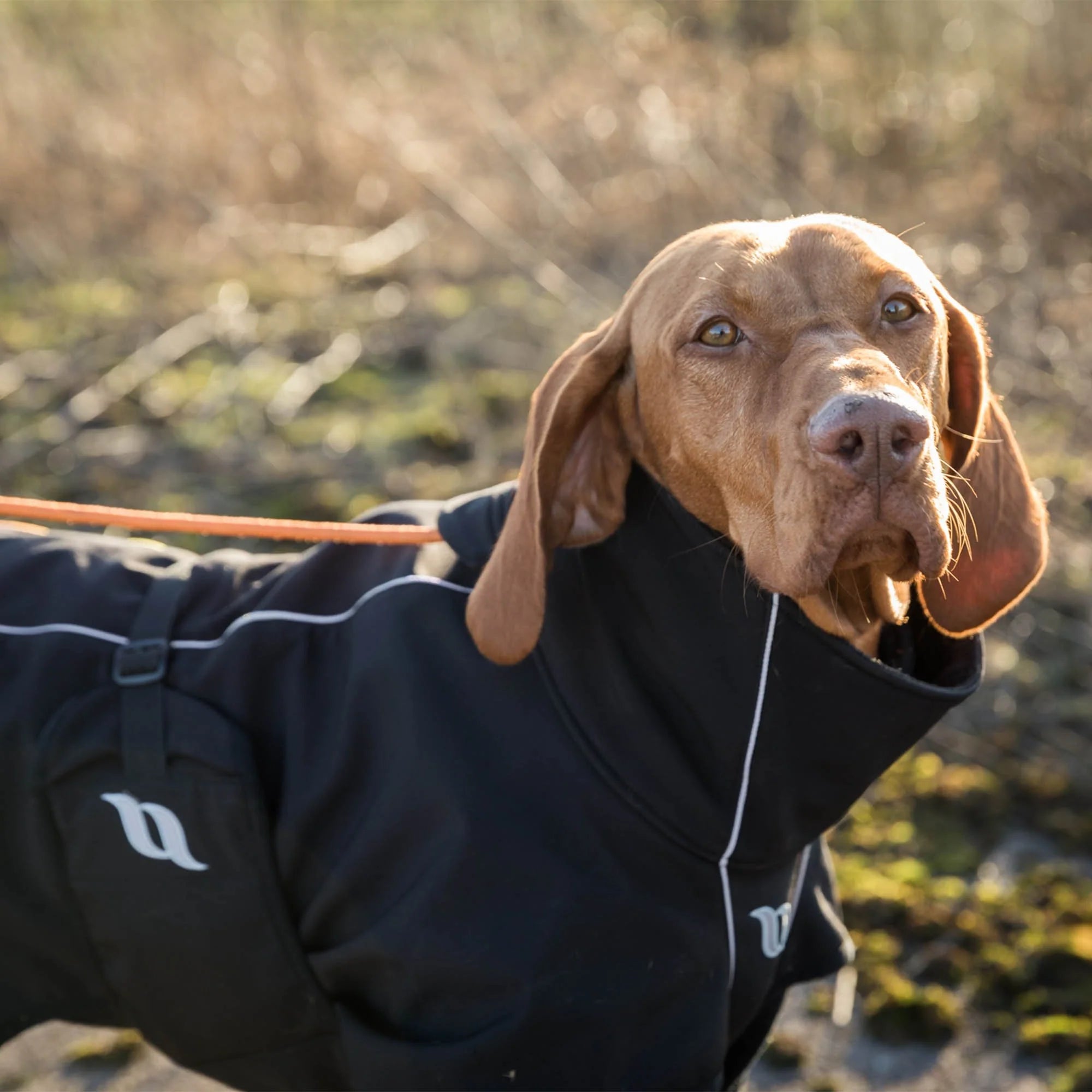 "Nella" Allround Hundemantel von Back on Track in schwarz 25-90 cm Rücken
