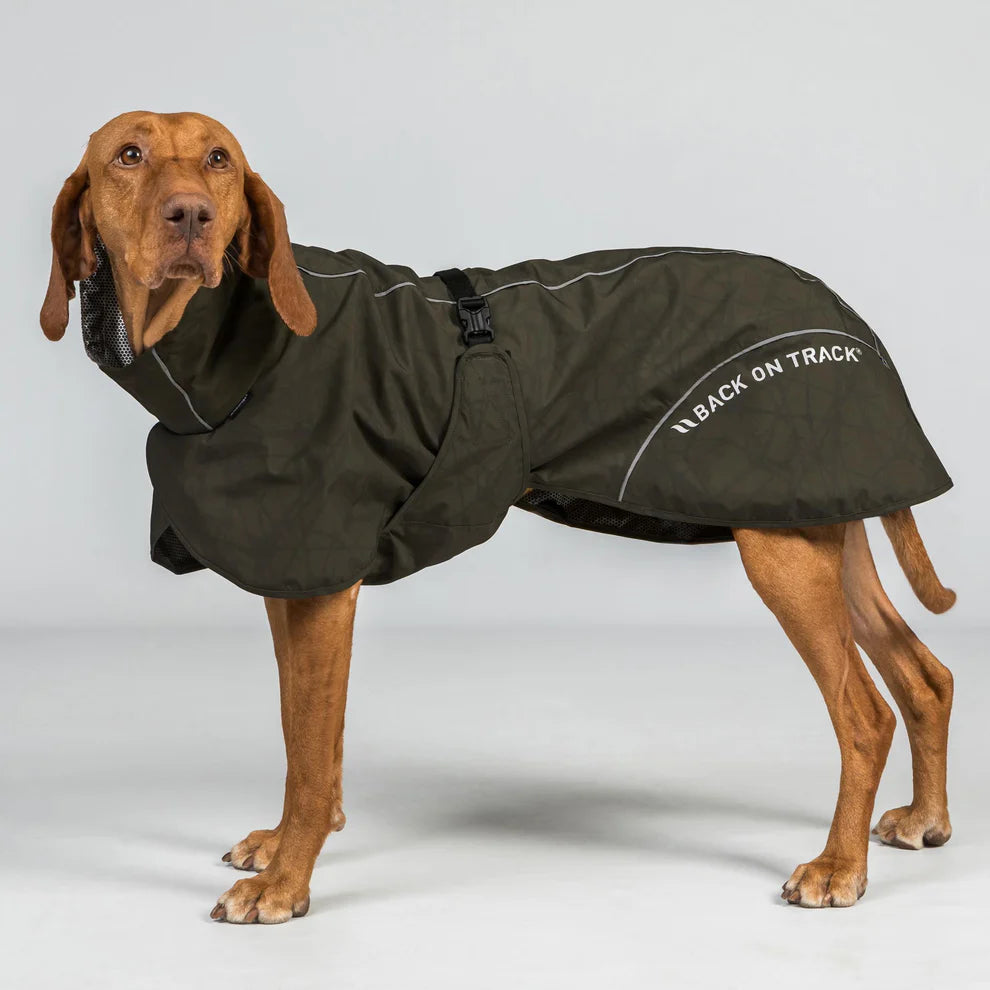 BAY Hunde-Regenmantel – für Hunde mit niedrig getragener Rutenhaltung