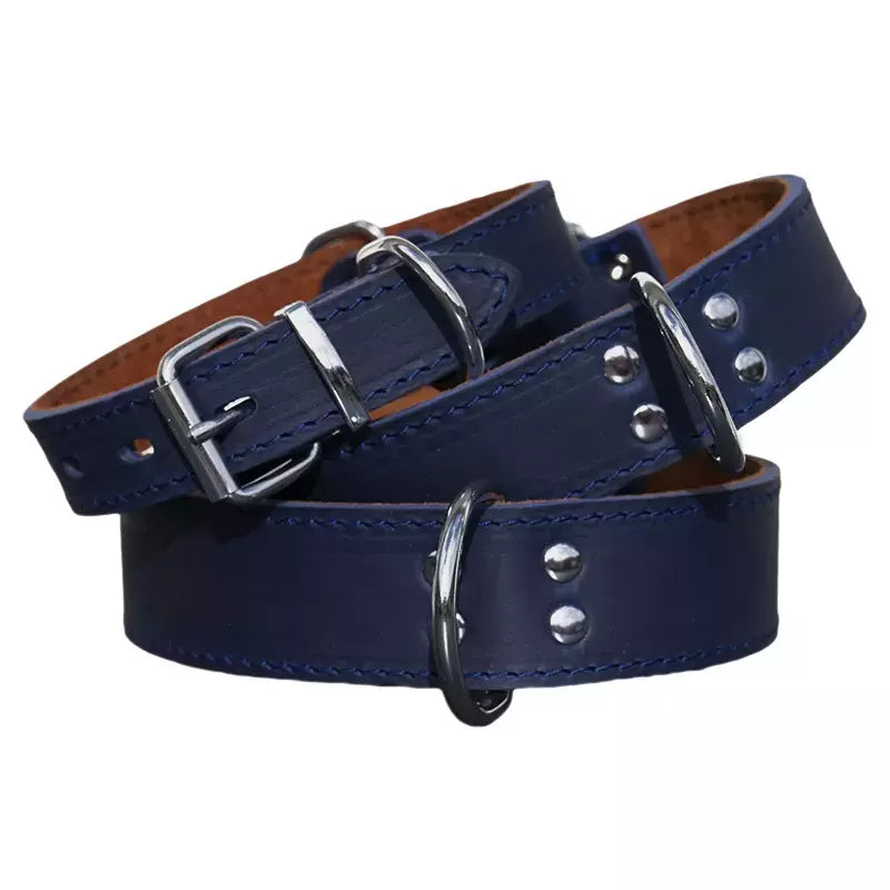 Blaues Hundehalsband, geöltes Rindsleder, von 26 bis 70 cm Halsumfang, personalisierbar