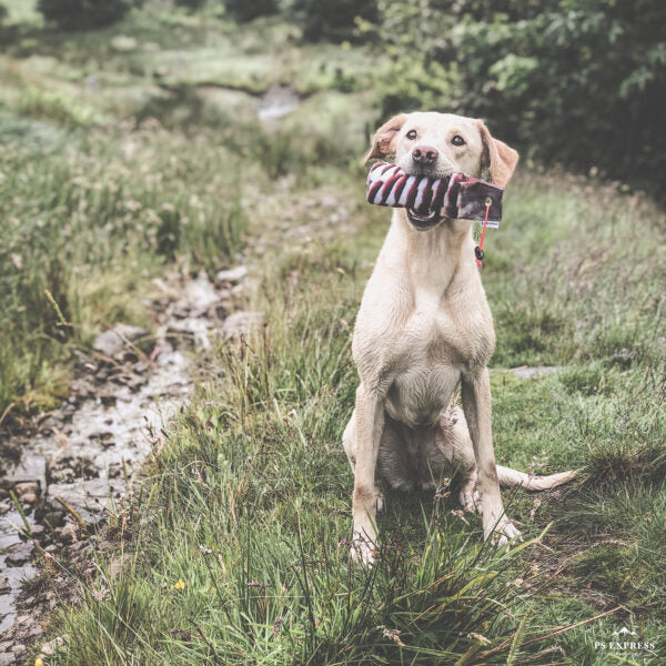 Dog&Field Rebhuhn Spar-Paket