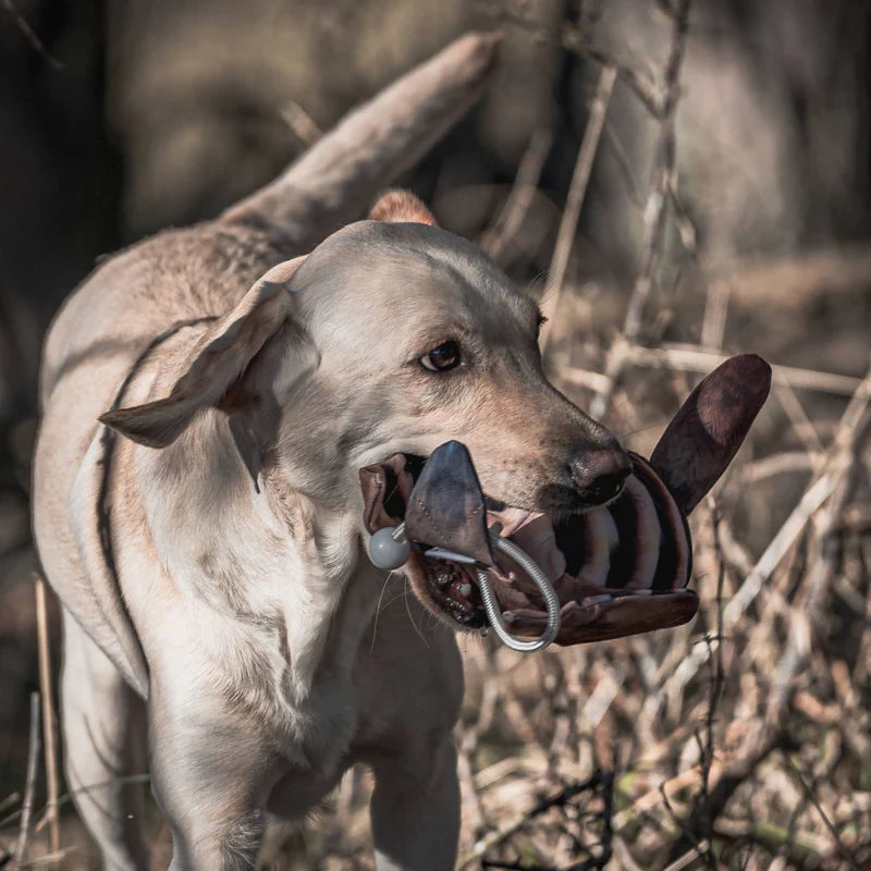 Dog&Field Rebhuhn Spar-Paket