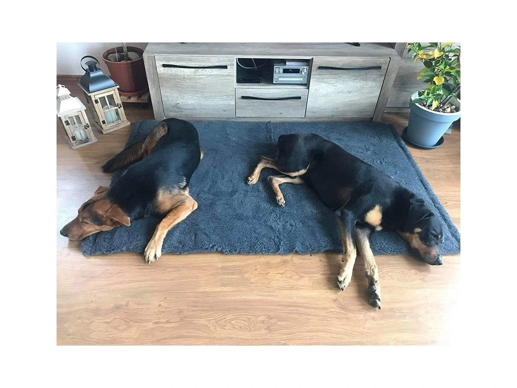 VET-BED Premium - DRY-BED * VET-BED aus England