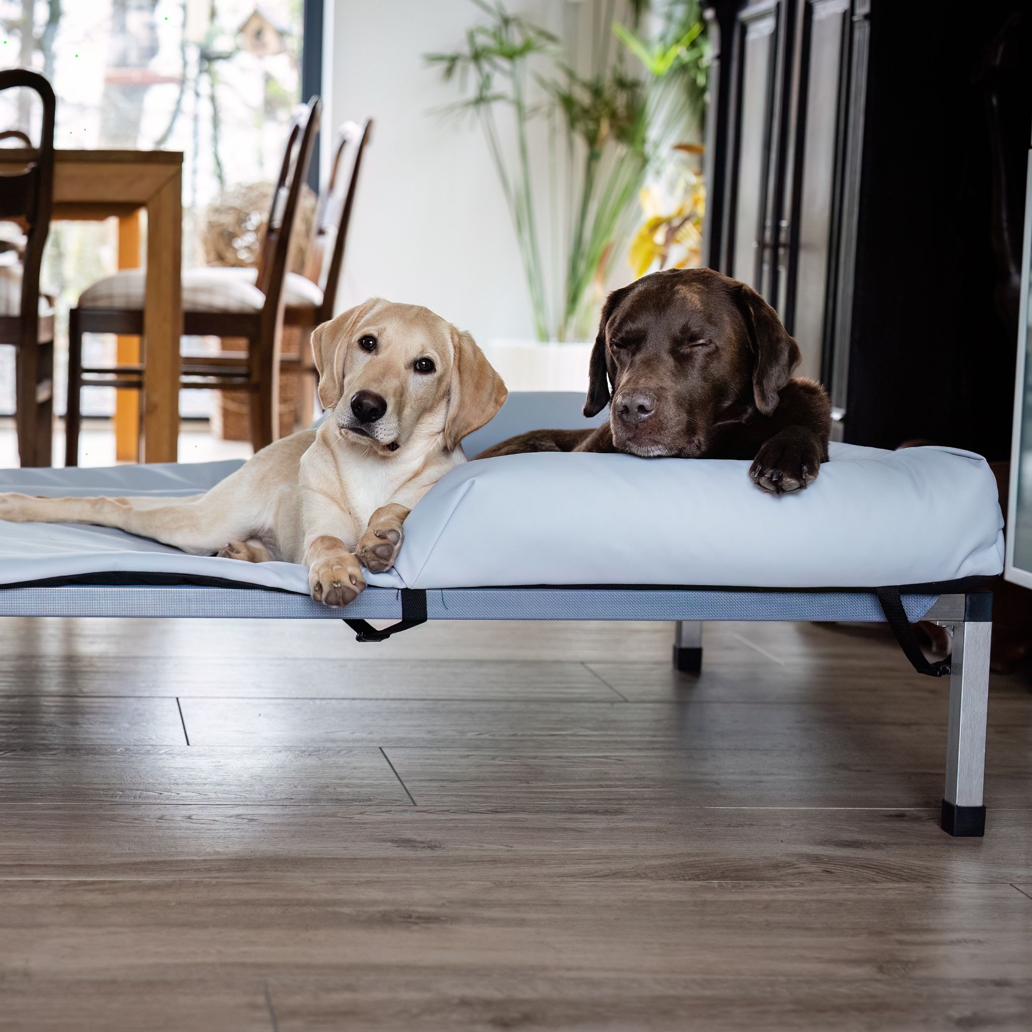 Hundeliege ANADI Klassik Größe M, L, XL. Das Luxus-Hundebett mit Edelstahlgestell für Hunderassen bis 60 kg